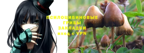 гидропоника Алексеевка