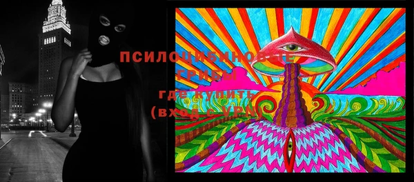 твердый Алексин