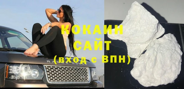 прущие грибы Няндома